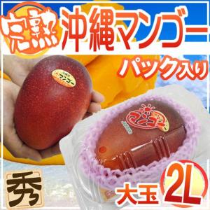 鹿児島産 ”完熟マンゴー” 秀品 特大3L 約450g以上 パック入り【予約 5