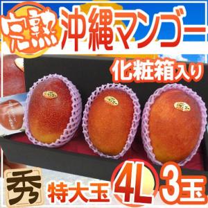 宮崎県産完熟ミニマンゴーとミニミニ　1.7キロ 宮崎ミニマンゴー” 1pc 5〜10玉入り 約400g 宮崎マンゴー パック入り