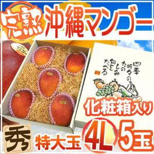 宮崎完熟マンゴー” 訳あり 超大玉4L 2玉 約1kg以上 宮崎マンゴー【予約