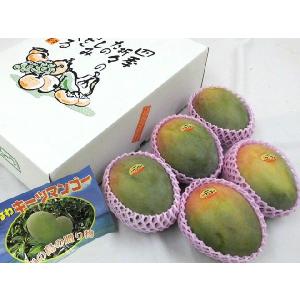 沖縄産 ”キーツマンゴー” 秀品 5玉 約3k...の詳細画像5