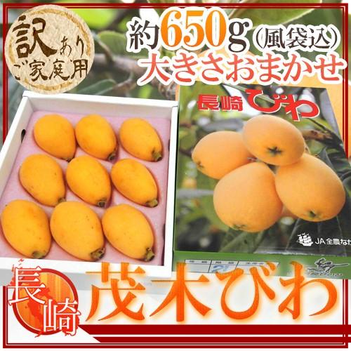 長崎県 ”茂木びわ” 訳あり 約650g 大きさおまかせ 化粧箱【予約 3月下旬以降】 送料無料