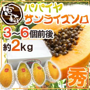 宮崎パパイヤ ”サンライズソロ” 3〜6玉前後 約2kg