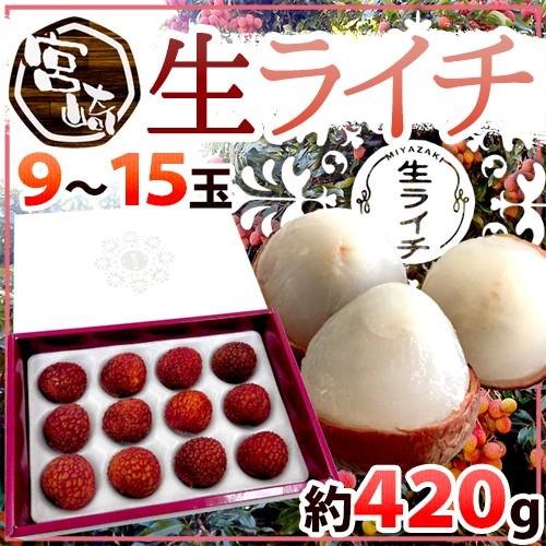 宮崎県産 ”生ライチ” 9〜15玉 約420g 化粧箱入り 国産 レイシ 茘枝【予約 5月末以降】 ...