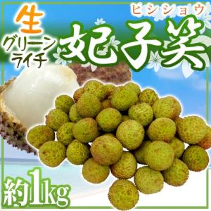 ”生グリーンライチ 妃子笑（ひししょう）” 約1kg 中国産 レイシ 茘枝【予約 5月下旬以降】｜kurashi-kaientai