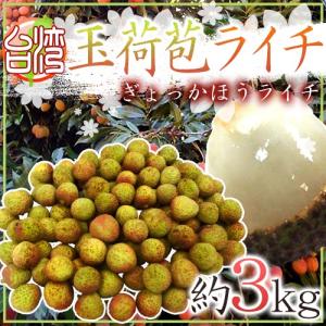 ”生グリーンライチ 玉荷苞（ぎょっかほう）” 約3kg 台湾産 レイシ 茘枝 玉荷包【予約 5月末以降】 送料無料｜kurashi-kaientai