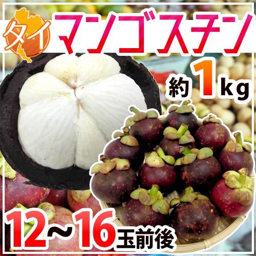 タイ産 ”マンゴスチン” M〜L 12〜16玉前後 約1kg【予約 3月下旬以降】 送料無料