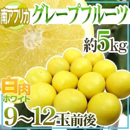 南アフリカ産 ”グレープフルーツ ホワイト” 大玉9〜12玉前後 約5kg【予約 6月中旬以降】 送...