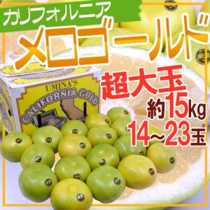 カリフォルニア産 ”メロゴールド” 超大玉 14〜23玉 約15kg【予約 入荷次第発送】 送料無料