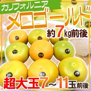 ”カリフォルニア産 メロゴールド” 超大玉 7〜11玉前後 約7kg前後【予約 11月末以降】 送料無料