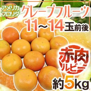 フロリダ産 ”グレープフルーツ” ルビー 11〜14玉前後 約5kg【予約 12月下旬以降】 送料無料