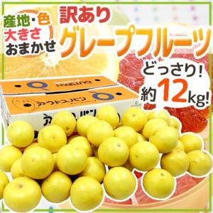 産地厳選 ”グレープフルーツ” 訳あり 約12kg 大きさ・品種・産地おまかせ【予約 入荷次第発送】 送料無料