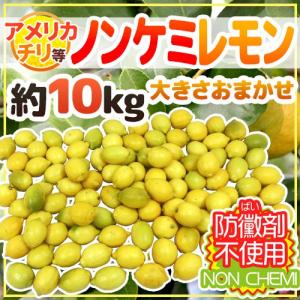 チリ産 レモン 約165玉入 約17.2kg （箱） : 生鮮卸売市場 - 通販