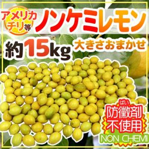 チリ・アメリカ産など ”ノンケミレモン” 大きさおまかせ 約15kg 安心の防ばい剤不使用！ノンケミカル/防黴剤（防かび剤）不使用【予約 入荷次第発送】