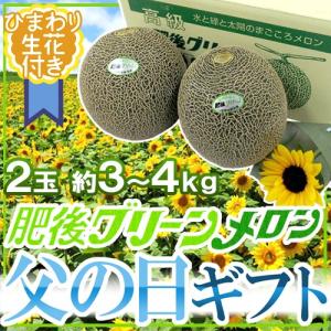 父の日ギフト ”肥後グリーンメロン” 秀品 2玉 約3〜4kg＋ひまわり生花1本【予約 6月9〜16日お届け予定】 送料無料｜kurashi-kaientai