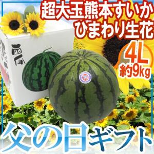 父の日ギフト ジャンボ ”熊本すいか” 秀品 1玉 約9〜10kg＋ひまわり生花2本【予約 6月9〜16日お届け予定】 送料無料｜kurashi-kaientai