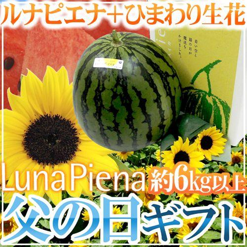 父の日ギフト ”ルナピエナすいか” 秀品 1玉 約6kg以上＋ひまわり生花2本【予約 6月9〜16日...