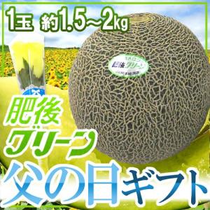 父の日ギフト ”肥後グリーンメロン” 秀品 1玉 約1.5〜2kg＋黄色バラ造花1本【予約 6月9〜16日お届け予定】 送料無料