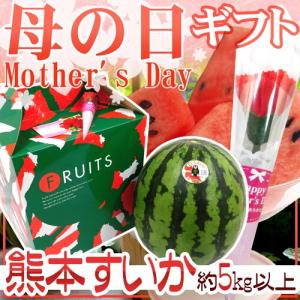 母の日ギフト ”熊本すいか” Mサイズ 約5kg以上 カーネーション造花付き 化粧箱【予約 5月2日〜5月10日お届け予定】 送料無料