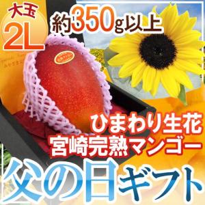 【送料無料】遅れてごめんね!父の日ギフト ”宮崎完熟マンゴー...