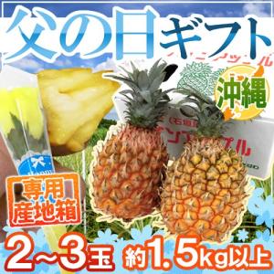 父の日ギフト ”スナックパイン” 2〜3玉 約1.5kg＋黄色バラ造花1本 専用産地箱【予約 6月9〜16日お届け予定】 送料無料｜くらし快援隊