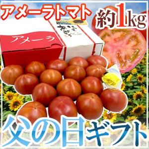 遅れてごめんね！父の日ギフト ”アメーラトマト” 約1kg＋バラ造花1本【予約 6月22日以降】 送料無料