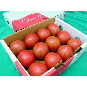 父の日ギフト ”アメーラトマト” 約1kg+バ...の詳細画像2