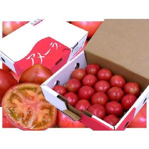 父の日ギフト ”アメーラトマト” 約1kg+バ...の詳細画像3