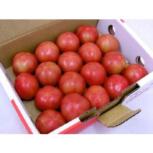 父の日ギフト ”アメーラトマト” 約1kg+バ...の詳細画像4