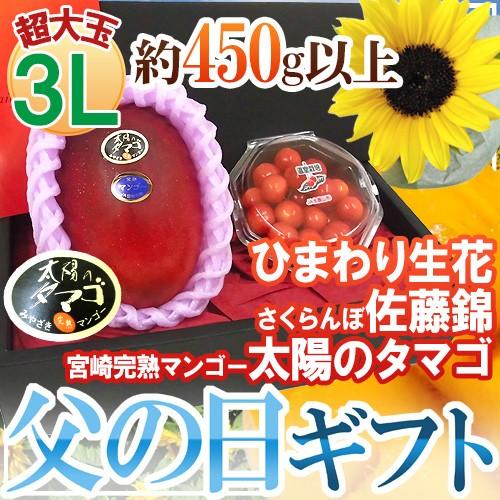 父の日ギフト ”佐藤錦＋太陽のタマゴ” 超大玉3Lサイズ＋ひまわり生花1本【予約 6月9〜16日お届...