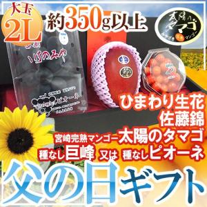 父の日ギフト ”佐藤錦＋種なし巨峰or種なしピオーネ＋太陽のタマゴ” 大玉2Lサイズ＋ひまわり生花1本【予約 6月9〜16日お届け予定】 送料無料｜kurashi-kaientai