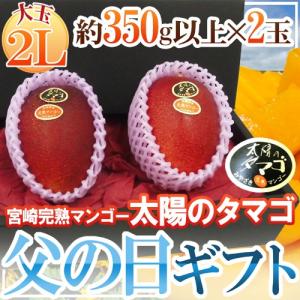 遅れてごめんね！父の日ギフト ”太陽のタマゴ” 大玉2Lサイズ 2玉 化粧箱【予約 6月16日以降】