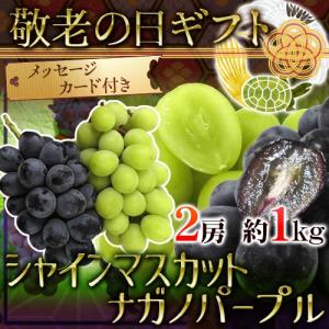 遅れてごめんね！敬老の日ギフト ”シャインマスカット＋ナガノパープル 食べ比べセット” 2房 約1kg 産地厳選/長野産【予約 9月16日以降】 送料無料