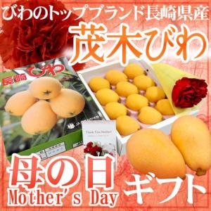 遅れてごめんね！母の日ギフト 長崎産 ”茂木びわ” カーネーション生花付き 化粧箱 L・2L 9〜12玉 風袋込約650g【予約 5月11日以降】 送料無料