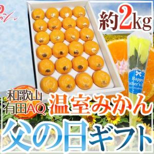 父の日ギフト ”有田 温室みかん” 秀品 24玉前後 約2kg＋バラ造花1本【予約 6月9〜16日お届け予定】 送料無料｜くらし快援隊