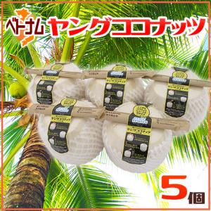 フィリピン産ヤシの実（青ヤシ）やしの実 約10.0kg〜14.0kg 5個入り