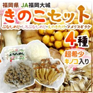 JA福岡大城 ”きのこ4種セット” ブナシメジ・ホワイトブナシメジ・エノキタケ・ヌメリスギタケ