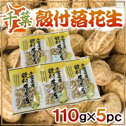 千葉産 ”殻付落花生” 110g×5袋 国産 ピーナッツ【予約 入荷次第発送】 送料無料