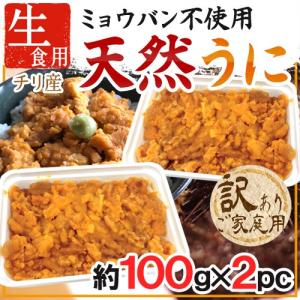 ”天然うに” 約100g×《2pc》 チリ産 生食用 ブランチ製...