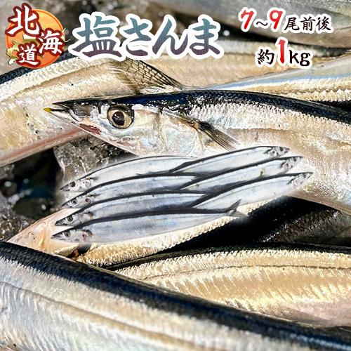 2025年新物！北海道産 ”塩さんま” 7〜9尾前後 約1kg サンマ 秋刀魚 【予約 入荷次第発送...