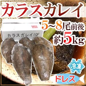 ”カラスカレイ” ドレス 5〜8尾前後 約5kg 鰈/カラスガレイ 送料無料