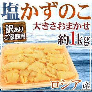 ロシア産 ”塩数の子” 訳あり 大きさおまかせ 約1kg かずのこ 送料無料