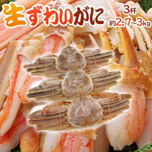 ロシア産 冷凍 ”生ズワイガニ” 3杯 約2700g〜3kg 姿 ズワイ蟹 送料無料