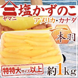 ”ヤマニ 塩数の子” 特特大以上 約1kg アメリカ（ブリストル）・カナダ産 塩かずのこ 北海道 井原水産 送料無料