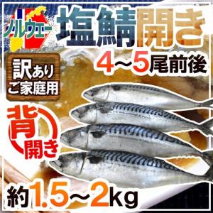 ノルウェー ”塩鯖開き” 訳あり 4〜5尾前後 約1.5〜2kg 背開き 塩サバ 送料無料｜くらし快援隊