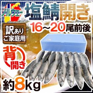 秋鯖ページ ノルウェー ”塩鯖開き” 訳あり 16〜20尾前後 約8kg 背開き 塩