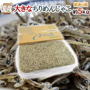 国産 ”大きなちりめんじゃこ” 訳あり 約5kg かえりちり...