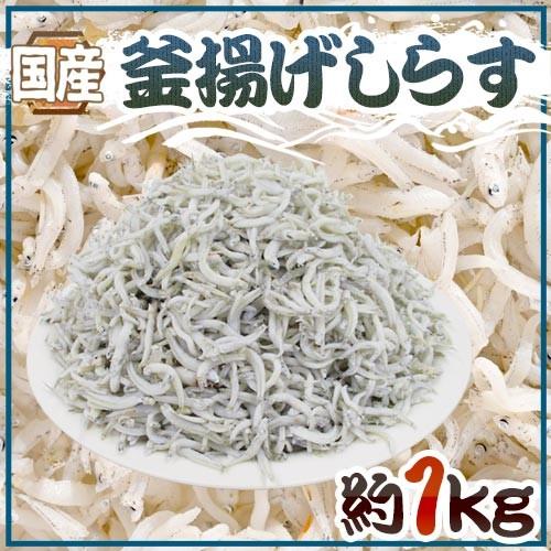 国産 ”釜揚げしらす” 約1kg ちりめんじゃこ 送料無料