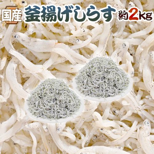 国産 ”釜揚げしらす” 約2kg ちりめんじゃこ 送料無料