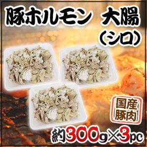国産 ”豚大腸（シロ）ボイル” 約900g （約300g×3pc）