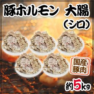 天然舞茸2kg【10月上旬発送開始】秋田産 採れたての天然マイタケを